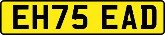 EH75EAD