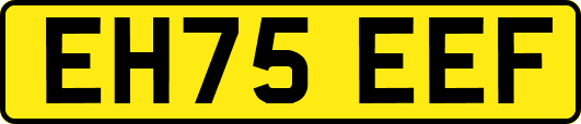 EH75EEF