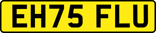 EH75FLU