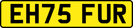 EH75FUR
