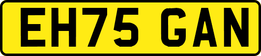 EH75GAN