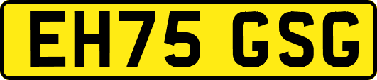 EH75GSG