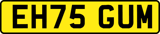 EH75GUM