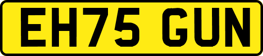 EH75GUN