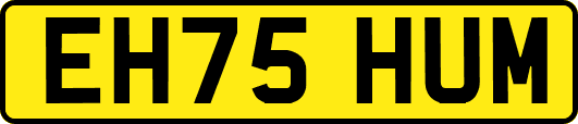 EH75HUM