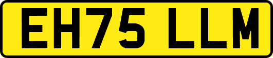 EH75LLM