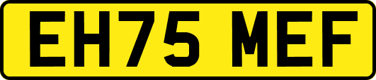 EH75MEF
