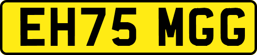 EH75MGG