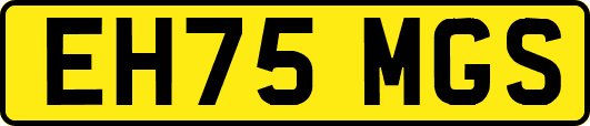 EH75MGS