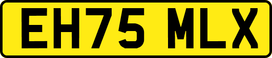 EH75MLX