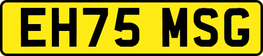 EH75MSG