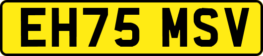 EH75MSV