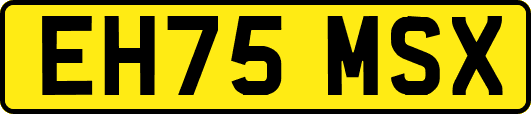 EH75MSX