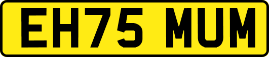 EH75MUM
