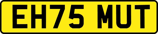 EH75MUT