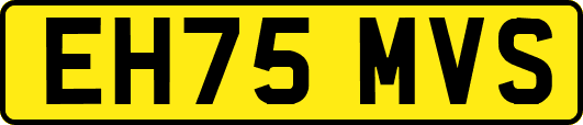 EH75MVS