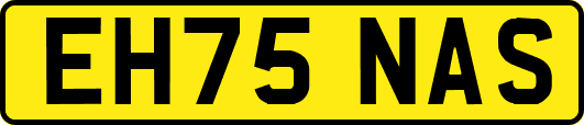 EH75NAS