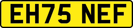 EH75NEF