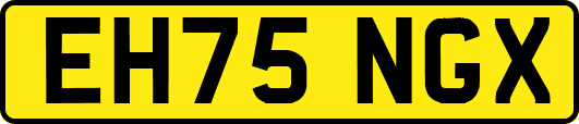 EH75NGX