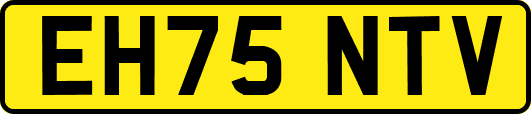 EH75NTV