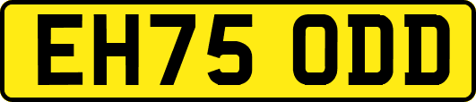 EH75ODD