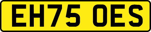 EH75OES