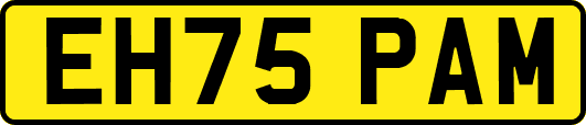 EH75PAM