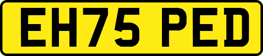EH75PED
