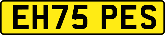 EH75PES