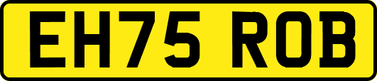 EH75ROB