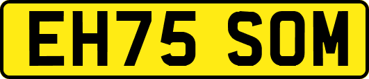 EH75SOM