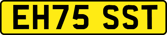 EH75SST