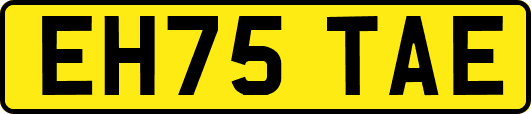 EH75TAE