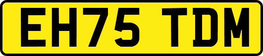 EH75TDM