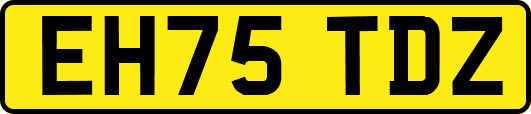 EH75TDZ