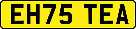 EH75TEA