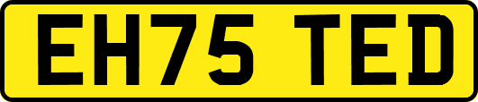 EH75TED