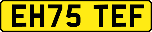 EH75TEF
