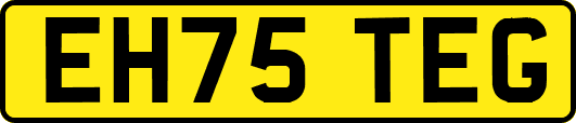 EH75TEG