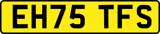 EH75TFS