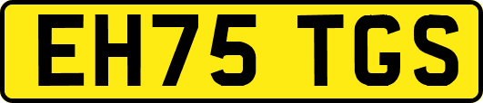 EH75TGS