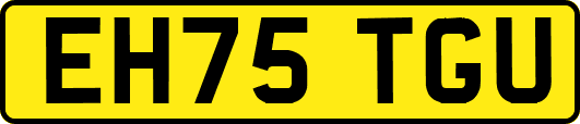 EH75TGU