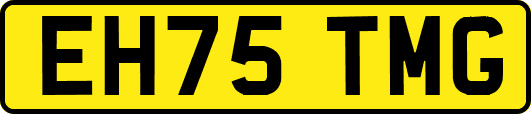 EH75TMG