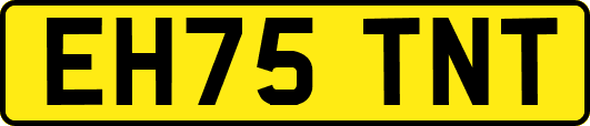 EH75TNT
