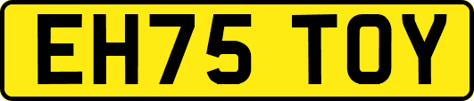 EH75TOY
