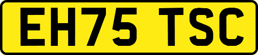 EH75TSC
