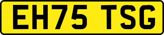EH75TSG