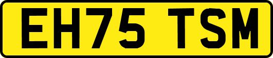 EH75TSM