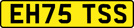 EH75TSS