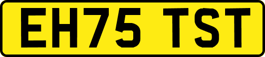 EH75TST